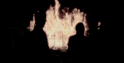sansastlark:  Get To Know Me Meme - [2/10] Favorite Tv Shows“ Hey I know it’s been a while. I’m gonna be honest, I forgot about you. After the farm, we were always moving, but something happened. Something good. We found a prison. Daddy thinks