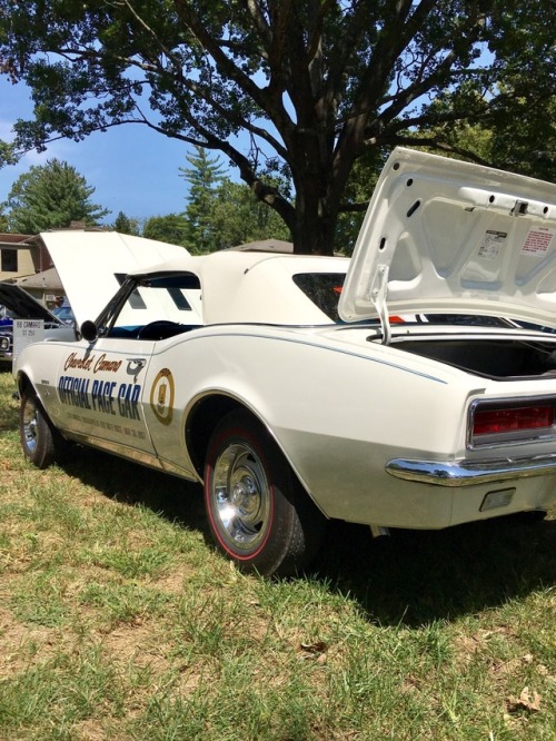 Mint condition 1967 Camaro Indy 500 Pace Car at a local car show last weekend. This car has a 350 wi