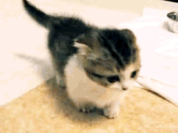 bandsomnia:Guys remember if you are ever having a bad day, look at these gifs. Just look at them.