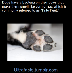 ultrafacts:    (Fact Source) For more facts,