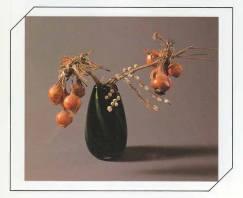 yan-wo: Ikebana Fruits &amp; Vegetables, Yokoi Toshie 