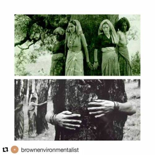 #Repost @brownenvironmentalist (@get_repost)・・・4/4: Alright! We’ve been uncovering the history of th