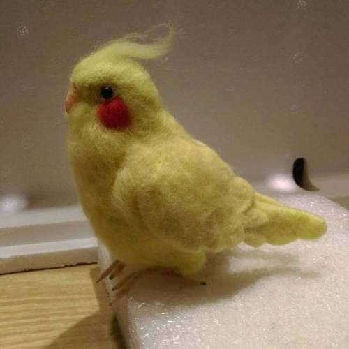 reinechen - #cockatiel #parrot #bird #玄鳳 #鸚鵡 #needlefeltingIt...