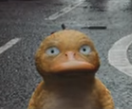 Detective Pikachu pokemon designs rated