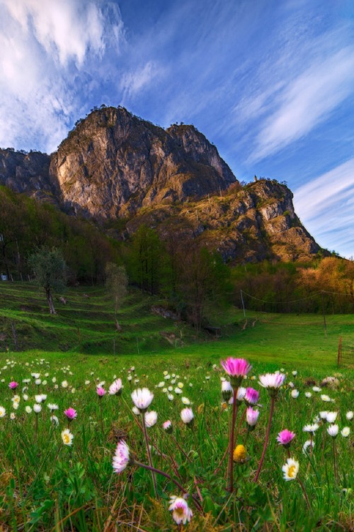 sugerbird: sublim-ature: Menaggio, ItalyArpan Das ♡