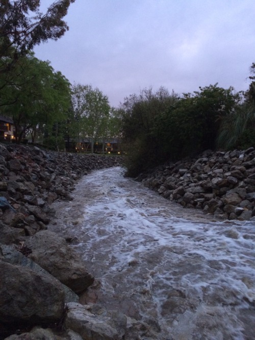 allah-lah:  I love when it rains look at the creek next to my house 