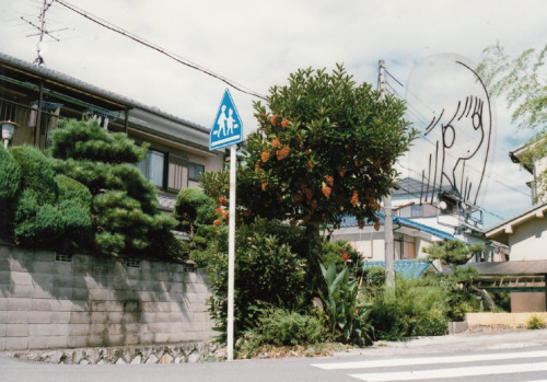 空の家34（からのいえ） 2015　89×125mm　acrylic and pen on photo空の家35（からのいえ） 2015　89×125mm　pen on photo空の家38（からのい