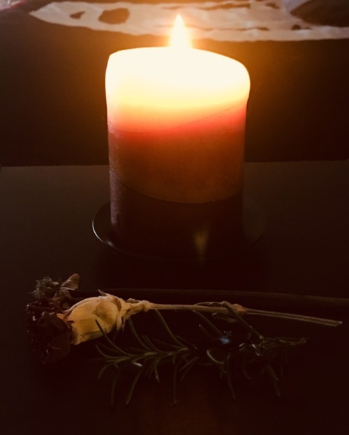 Happy Samhain, loves! My candle and the roses from my great grandmothers funeral light my house toni
