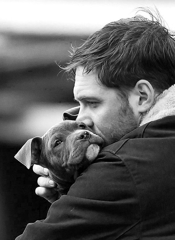juliascheller:    Men &amp; Dogs  