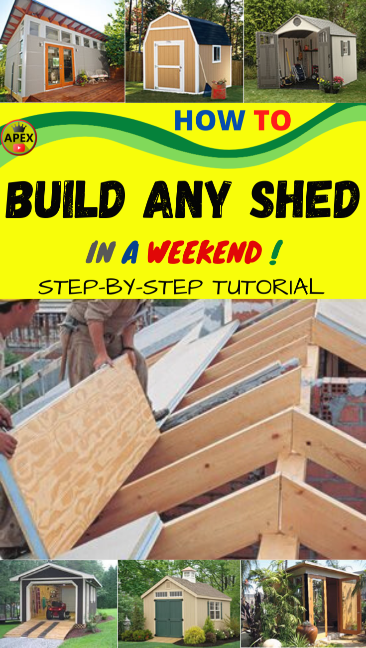 13 striking shed paint ideas for a speedy garden update