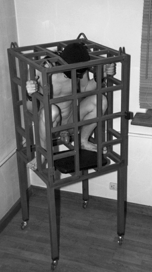 (via Compact, Wheeled Punishment Cage)   Genius at work!  can you imagine the agony
