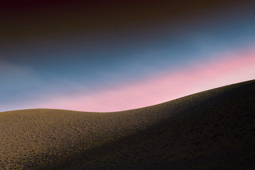 nevver:  The Forbidden Zone, Studio Conci