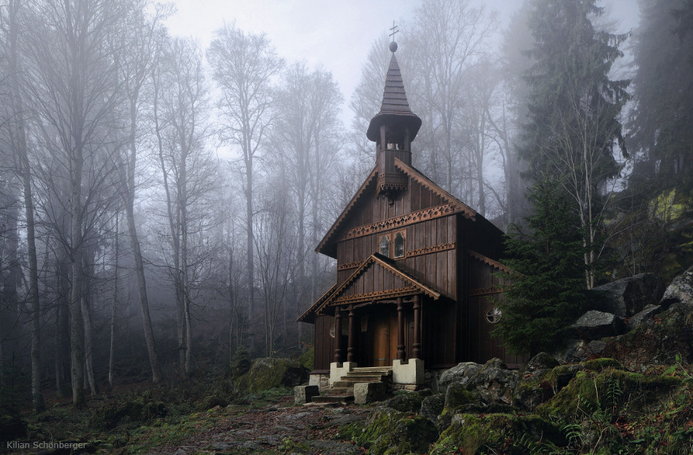 allthingseurope:  Forest Sanctuary, Czech Republic (by Kilian Schönberger) 