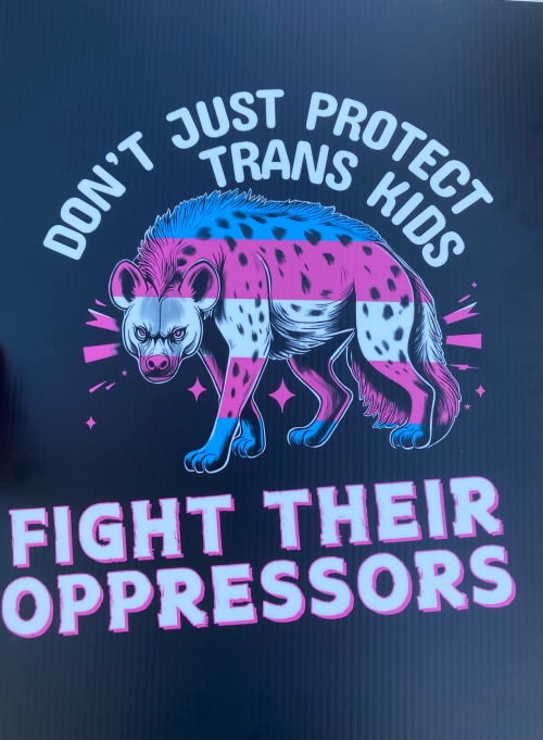 Trans Rights!!!!