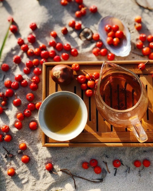 Autumn and tea (at Ukraine)https://www.instagram.com/p/BovmnsunJOu/?utm_source=ig_tumblr_share&i