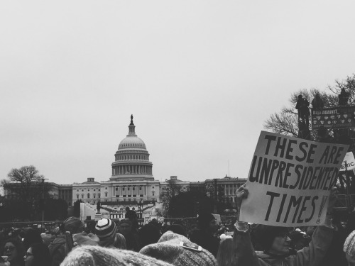 library-mermaid:Women’s March on Washington : Signs