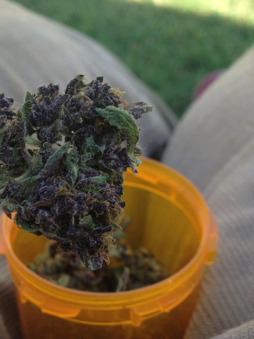 the-stoners-blog:  Stoner Supply co. Pipes, Vapes,Weed Socks, Hats,Beanies & More! Store // Facebook // Instagram