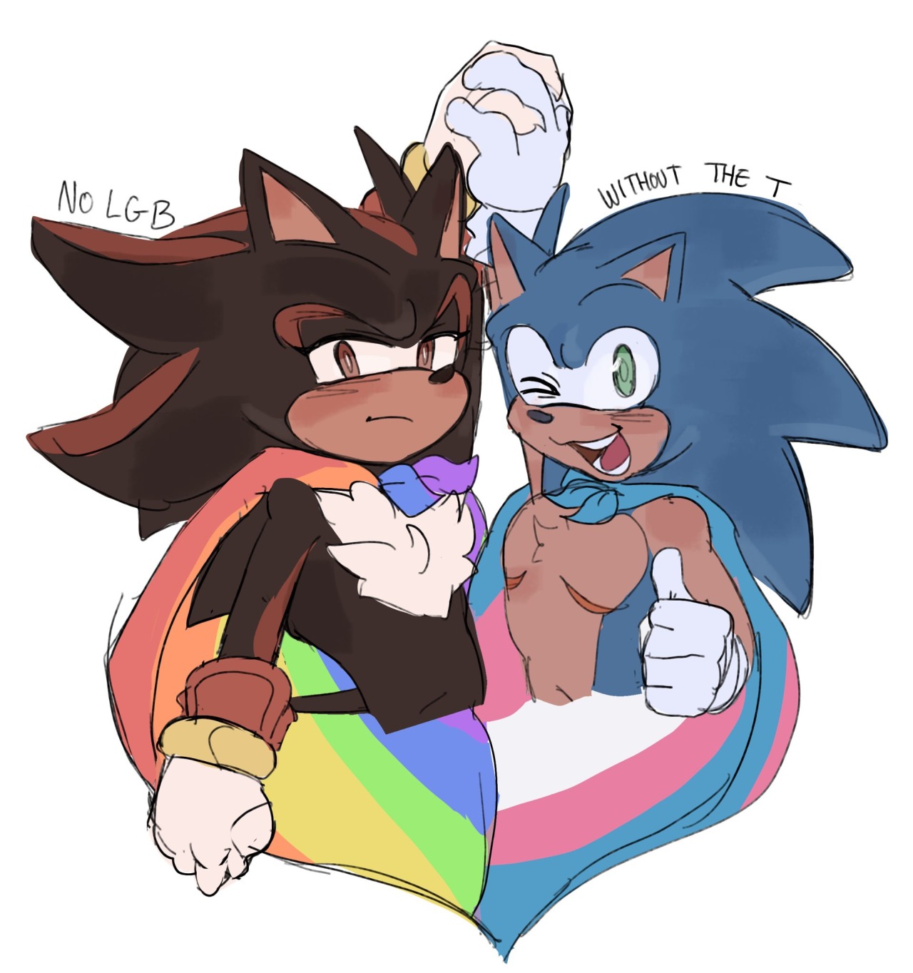 I came here for the gay hedgehogs — In a sonadow universe after