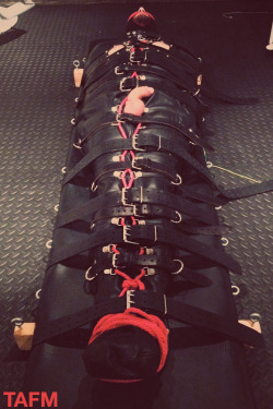 omg-kinkycouple14:  theatticformen:The Attic For MenSleepsack from Mr. S Leather  I would love to be put into one of these