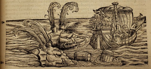 From: Gessner, Conrad, 1516-1565. Conradi Gesneri medici Tigurini Historiae animalium … Tigur