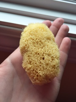 Pro tip: Use a sea sponge instead of a tampon