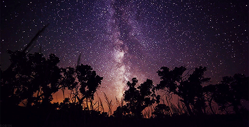 thestarsareourancestors:   [X]  