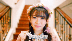 bokettogifs:HKT48 (10%) - Chamomile