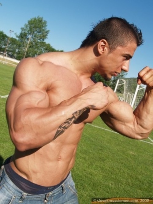 Muscle In Orlando