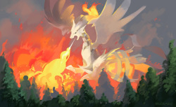 hobermen:Pokecember Day 3: Reshiram 