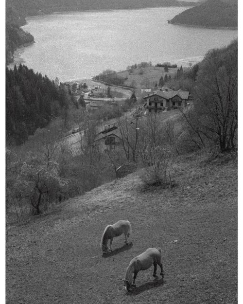 Home study, April 2021. (presso Trentino-Alto Adige/Südtirol) www.instagram.com/p/CNxha5mlpc