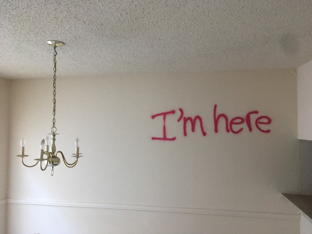 afloweroutofstone:Some of my favorite graffiti I found today.