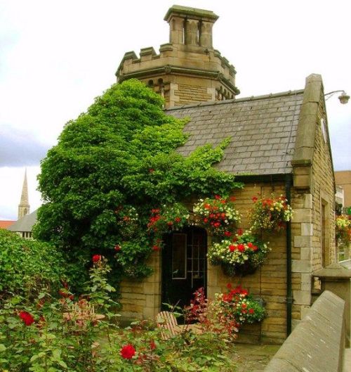 pandaswirlpool:Tea and Scone Shop, YorkshireIs this… is this real? And how do I get there?