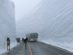 Clearing a 60 Foot Snowfall in Japan Looks