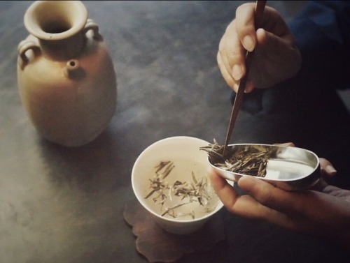 “窨得茉莉无上味 列作人间第一香” Scented with the most amazing Jasmine, world&rsquo;s most popular 