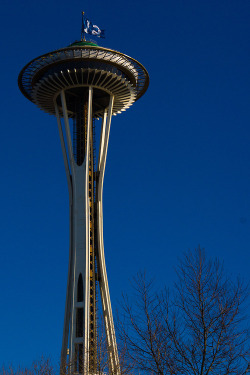 thistooshallpass-mylove:  Seattle is ready for the game tomorrow morning.