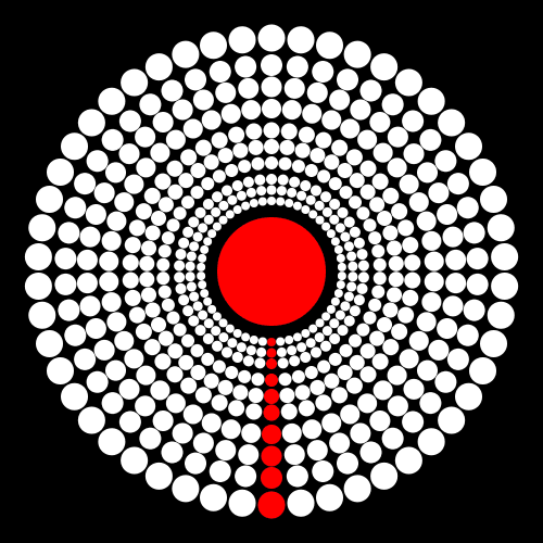 amalgammaray