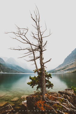 corwinprescott:  “The Rising Lands”Glacier