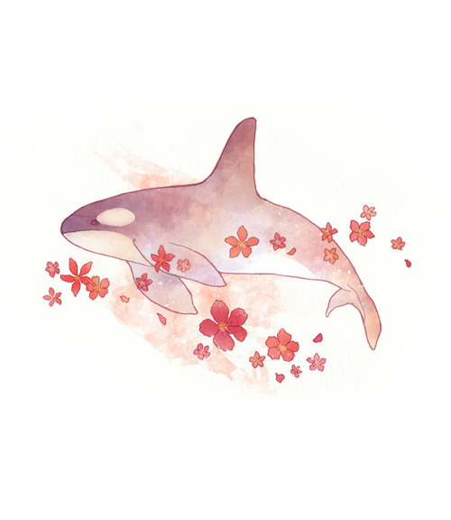 A bunch of flowery whales and stuff&hellip; for no reasonyou could say it’s pot pourri porpoise with