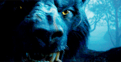 wrathandruin-blog:  Do not speak to me of dragon fire. 