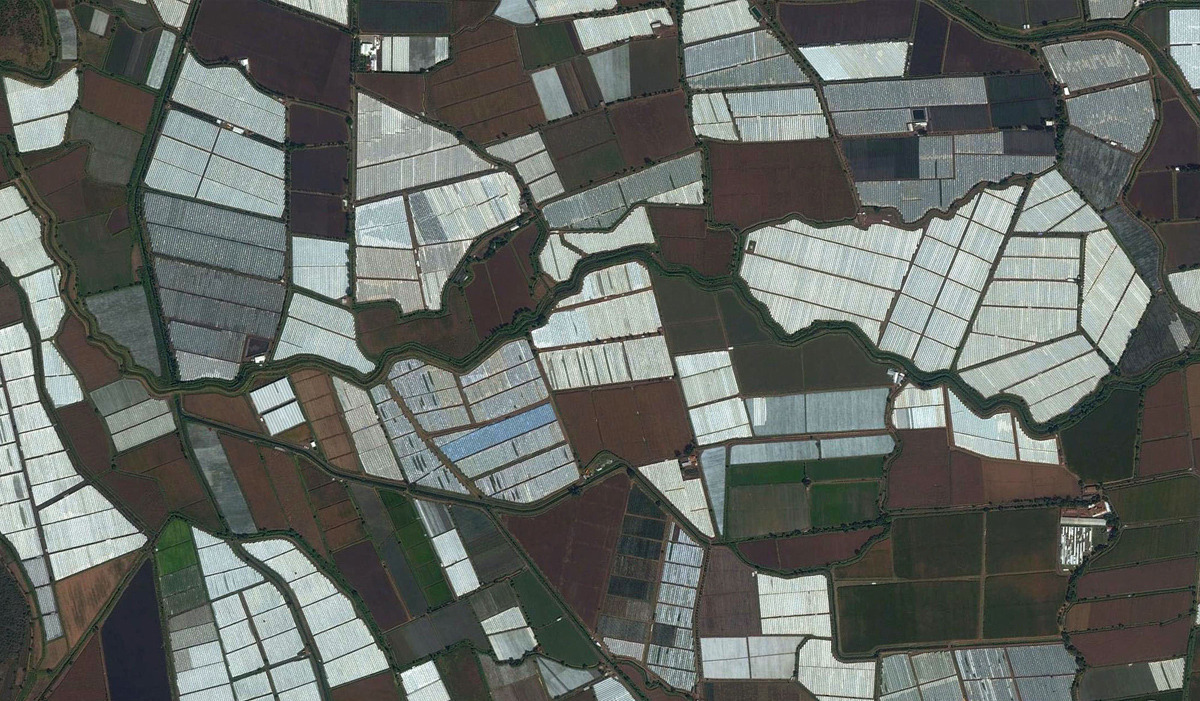 nevver:  Pattern Recognition, South of the border