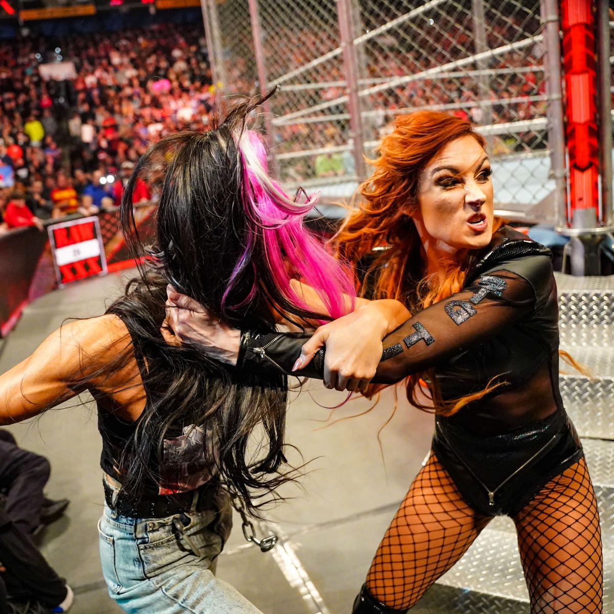 Becky Lynch To Face Bayley In Steel Cage Match On 1/23 WWE RAW