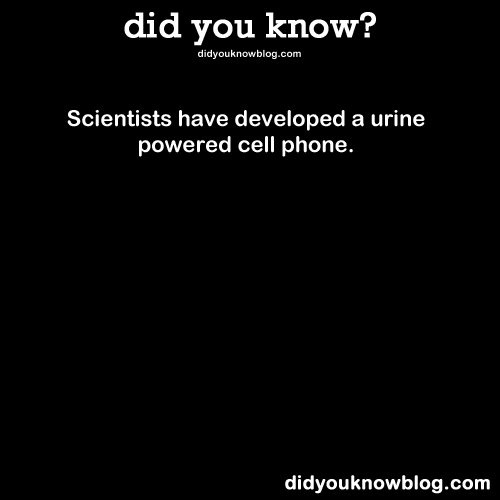 did-you-kno:  Source