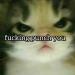 ketaminetears:hun43rd:ethchlorvynol:hun43rd:overt-menstruation:vgpussy:b1rdh34d:swagfulcatcowboy:violet-lavender-fem:swagfulcatcowboy:Girls