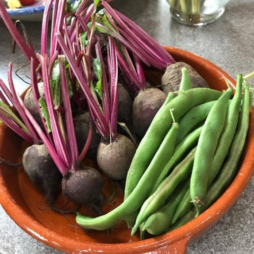 Beetroot, Runner Beans &hellip; a little booty from my allotment &hellip; nice for lunch tod