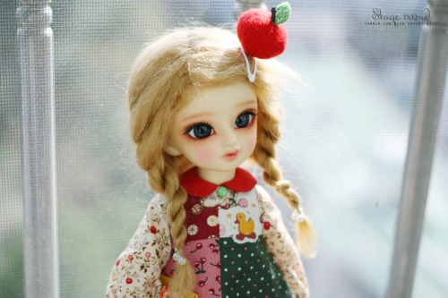 Volks tanpopo‘ Merry Gold ’owner. shouette