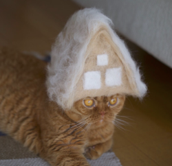 catsbeaversandducks:  Cats in hats made from their own hair by Japanese photographer Ryo Yamasaki. Via tastefullyoffensive.com 