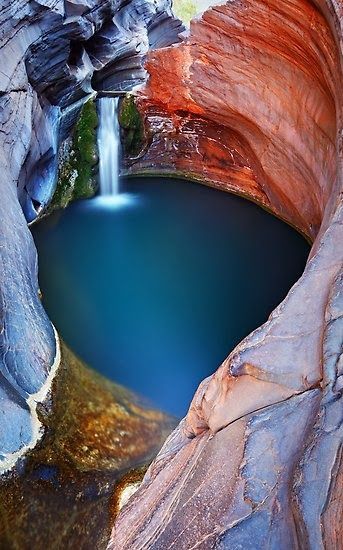 letsgoforahike:  Let’s Go For A Hike  Amazing