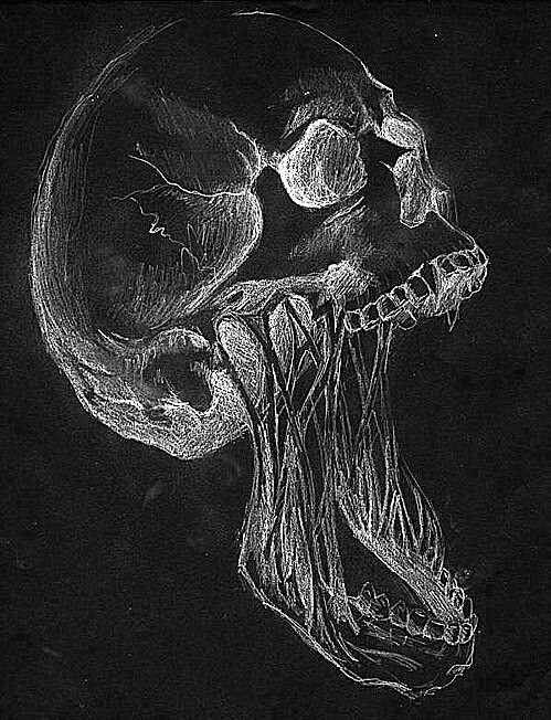 ubernoir:  … su We Heart It - http://weheartit.com/entry/167665217