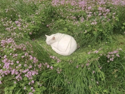 , , , , ,