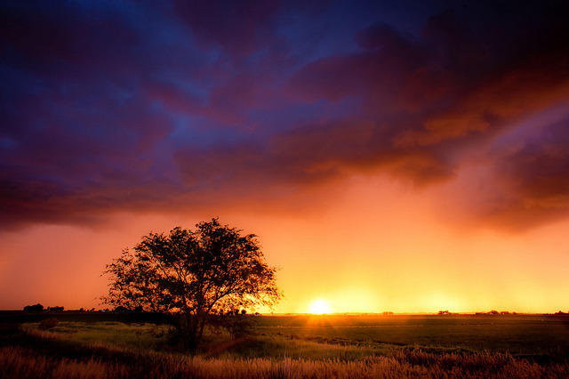 sapphire1707:  Summer’s Dream by Dan Ballard Photography on Flickr. 
